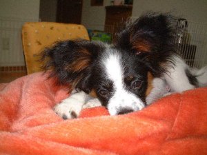 �˂ނ����I